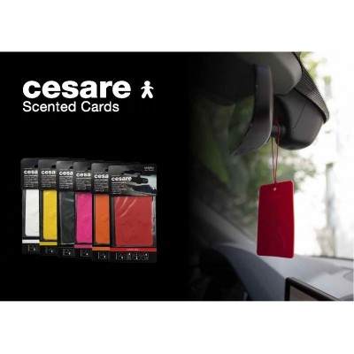 Mr&Mrs Cesare“ kvepianti kortelė JCESTES007 „Scent for Car“, „Citrus & Musk“, „EVA“, „Fucsia“
