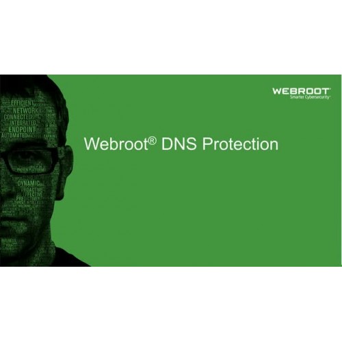 Webroot DNS apsauga su GSM konsole, 1 metai, licencijos kiekis 1–9 naudotojai Antivirusinės