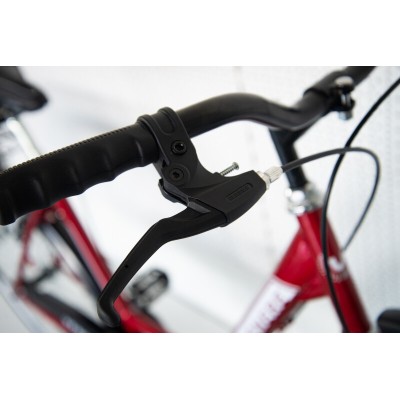FREJUS Olanda Venere moteriškas dviratis, rato dydis 26", garantija 24 mėn., raudona Dviračiai